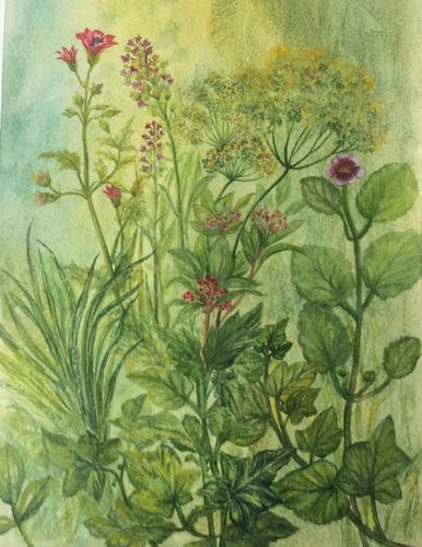 Dorothy, summertime flowers, watercolour.